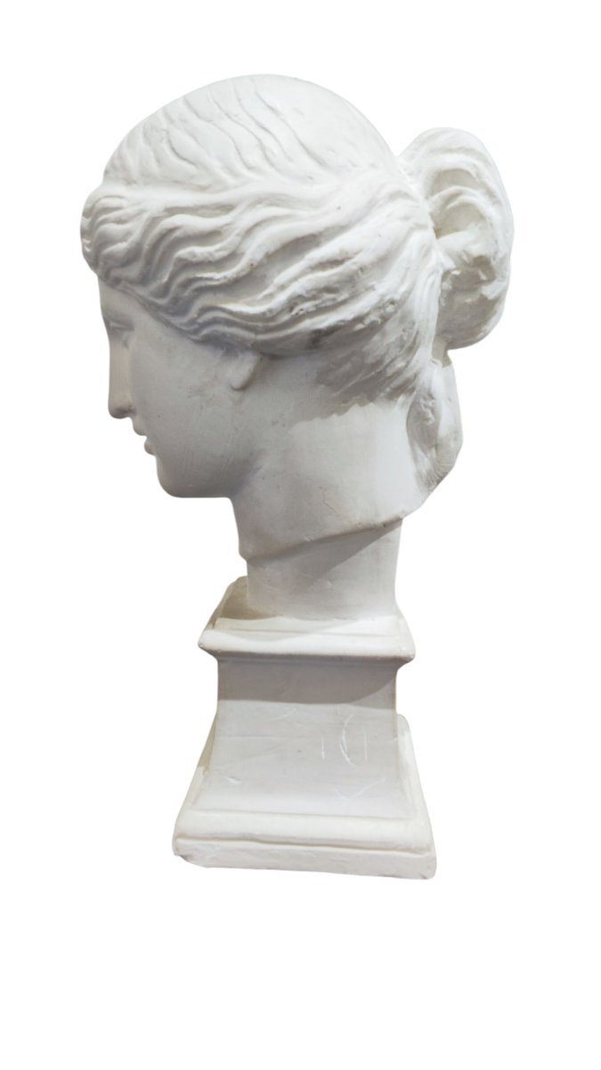 Busto in gesso stile neoclassico della Venere di Milo -photo-2