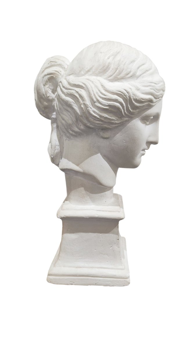 Busto in gesso stile neoclassico della Venere di Milo -photo-4