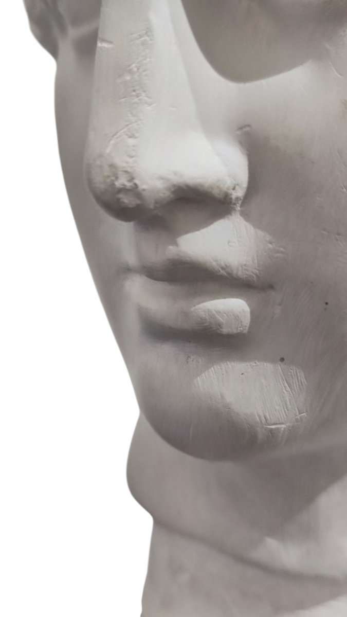 Busto in gesso stile neoclassico della Venere di Milo -photo-2