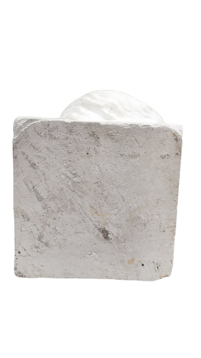 Busto in gesso stile neoclassico della Venere di Milo -photo-3