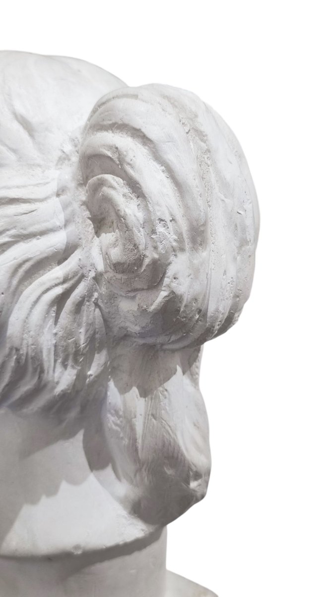 Busto in gesso stile neoclassico della Venere di Milo -photo-6
