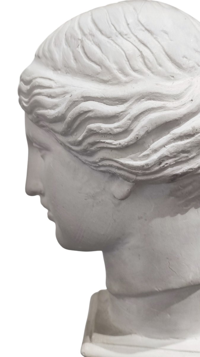 Busto in gesso stile neoclassico della Venere di Milo -photo-7