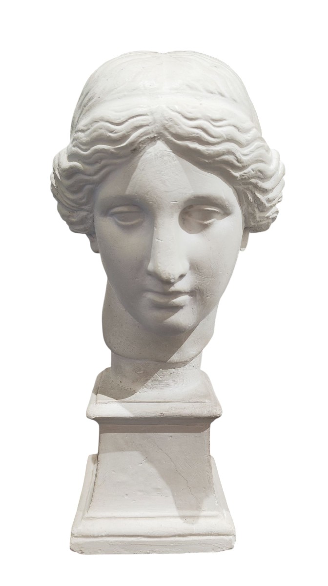 Busto in gesso stile neoclassico della Venere di Milo 