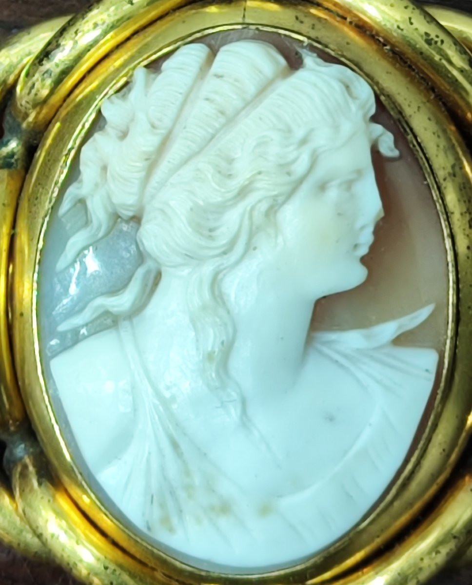 Raffinata spilla con cammeo del periodo vittoriano, XIX secolo -photo-4