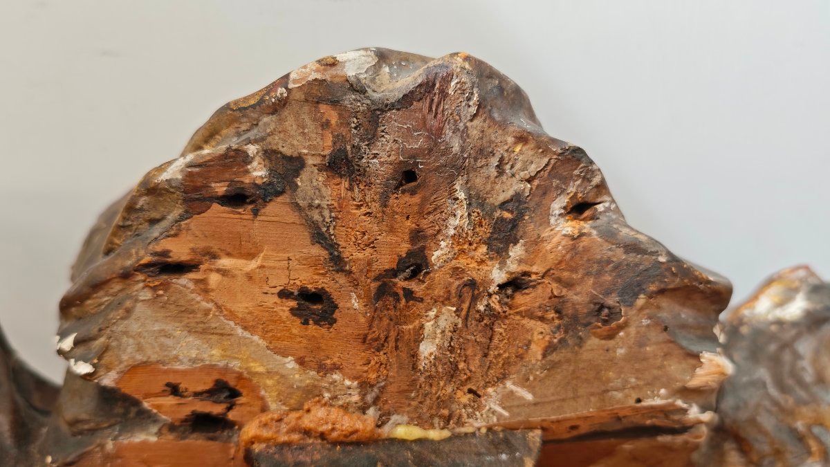Cherubino in legno dorato, barocco romano, XVII secolo -photo-7