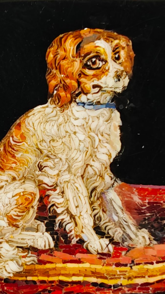 Spilla pendente in micromosaico romano XIX secolo Grand Tour Cane -photo-3