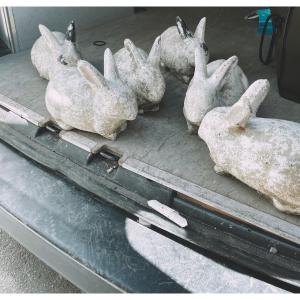 Reconstituted Stone Rabbits