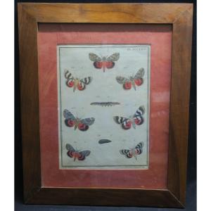 18th Century Engraving, Enhanced.