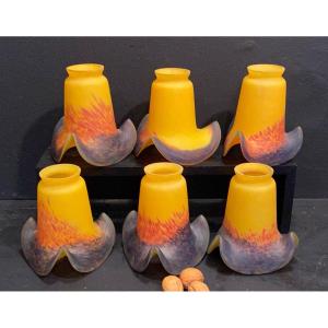 6 Colored Tulips End Of 20th Century