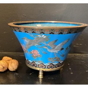 Cloisonné Enamel Cut