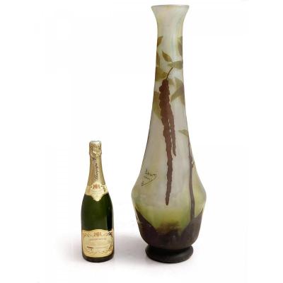 Large Daum Vase - Fox Tail Amaranths