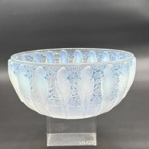 An Opalescent Glass Perruches  Bowl By R. Lalique.