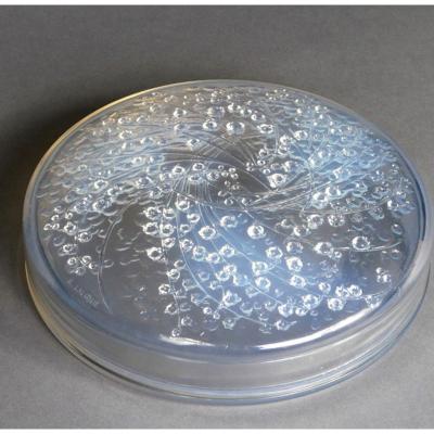 Boîte Muquet Par R.lalique