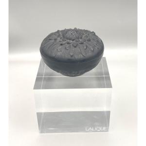 Chrysanthemum Box By R.lalique