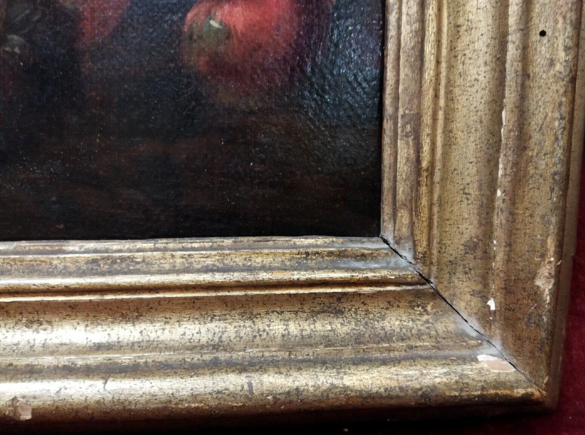 QUADRO NATURA MORTA - OLIO SU TELA   - XVII SECOLO  con cornice coeva-photo-1