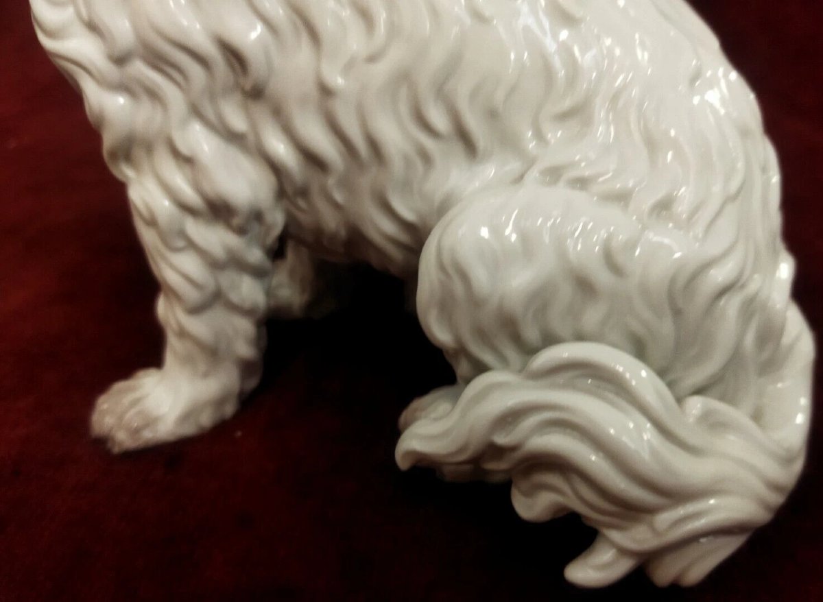 CANE IN PORCELLANA  MEISSEN   XX SIECLE - ANNI 80-photo-4