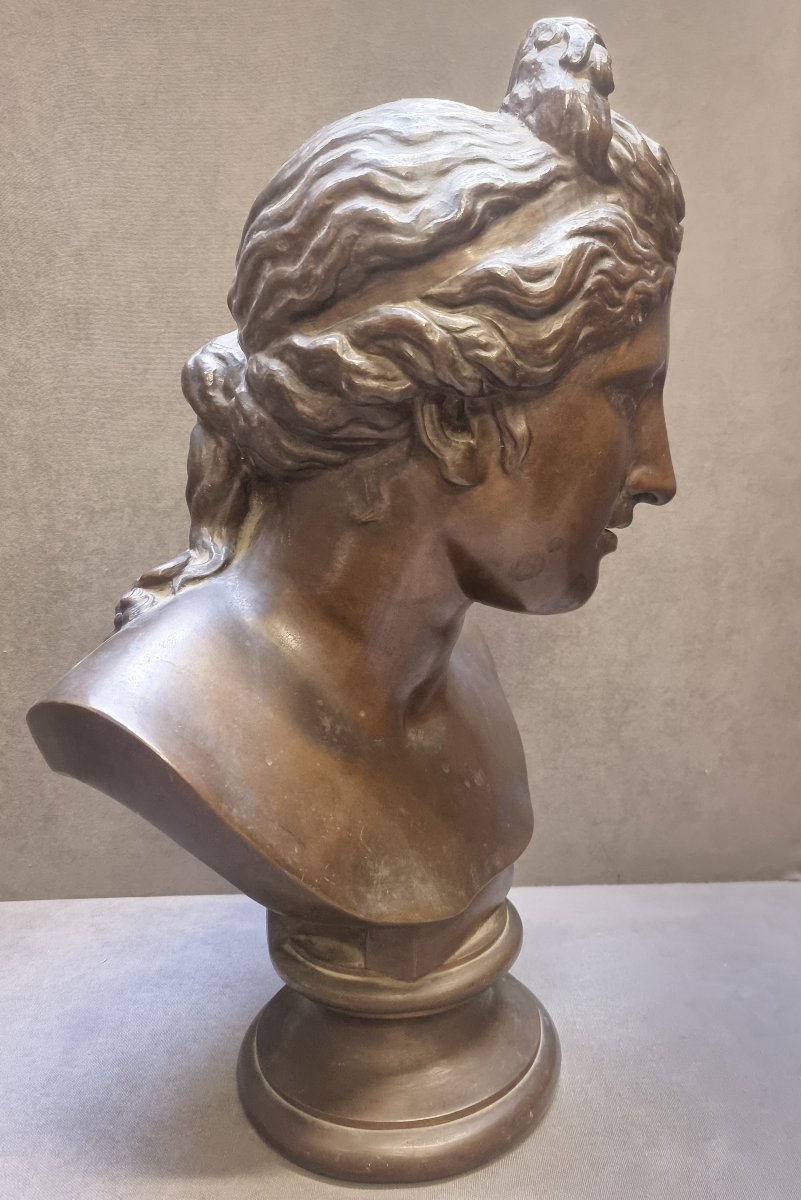 SCULTURA BUSTO DONNA IN BRONZO - FRANCIA - META' XIX SECOLO-photo-2
