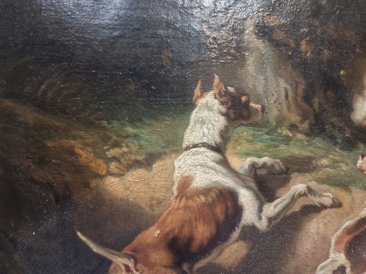 OLIO SU TELA RAFFIGURANTE CANI - FIRMATO F. COULY - XIX SECOLO-photo-2