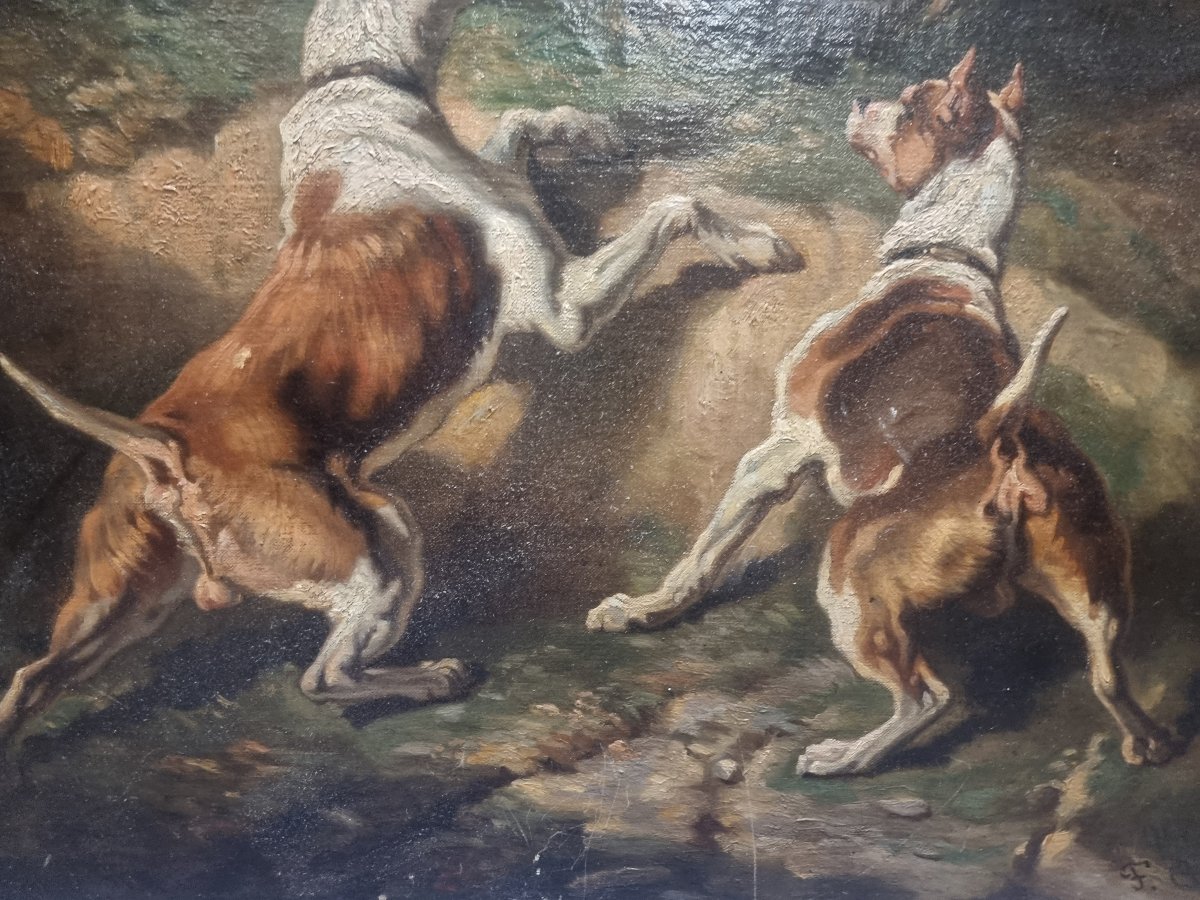 OLIO SU TELA RAFFIGURANTE CANI - FIRMATO F. COULY - XIX SECOLO-photo-4