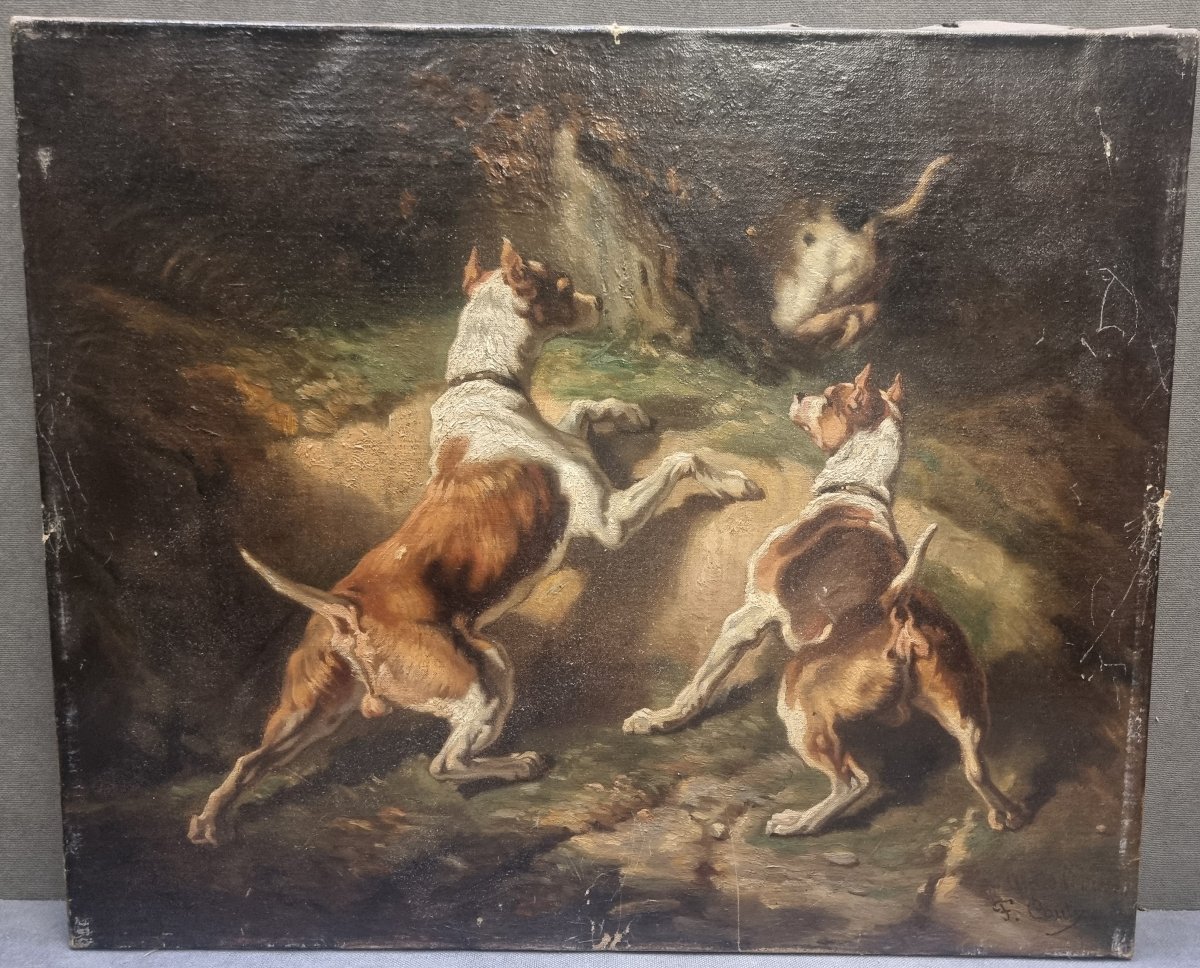 OLIO SU TELA RAFFIGURANTE CANI - FIRMATO F. COULY - XIX SECOLO