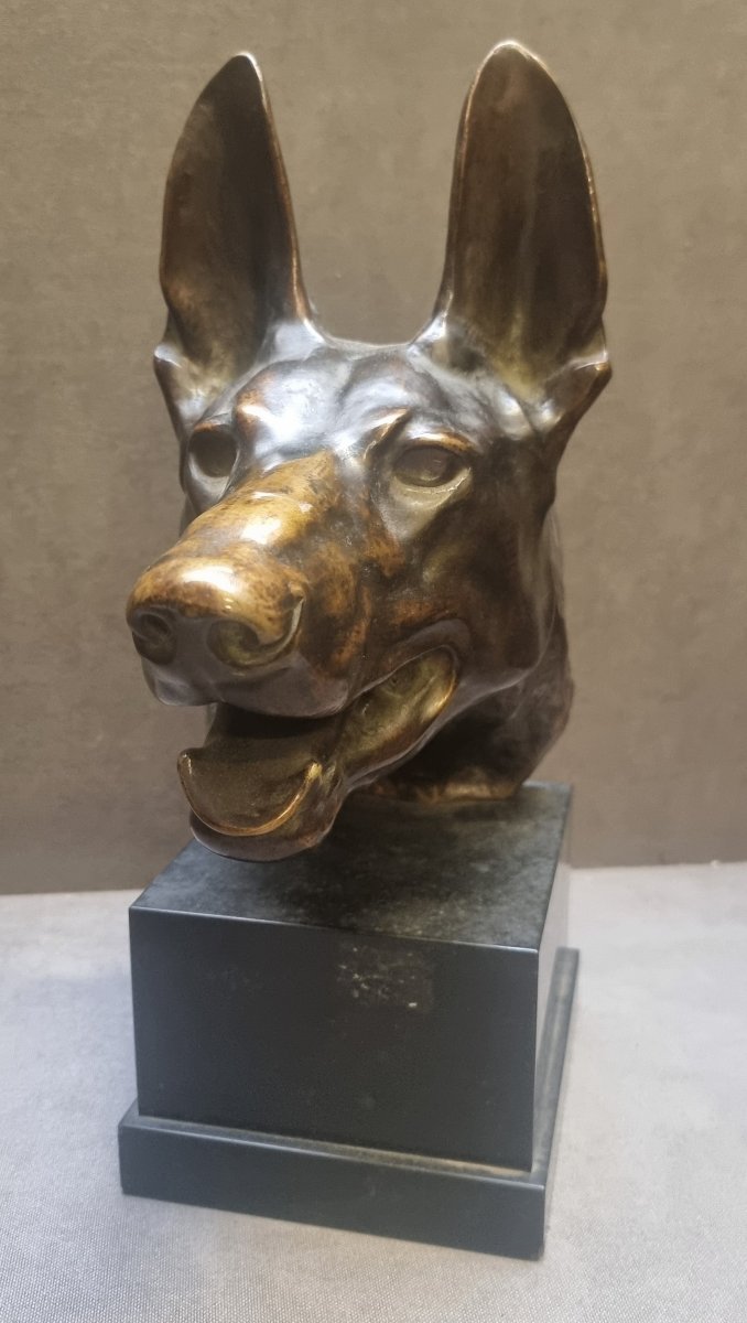 SCULTURA IN BRONZO SU BASE IN MARMO - TESTA DI LUPO  - Max LE VERRIER (1891-1973)-photo-2