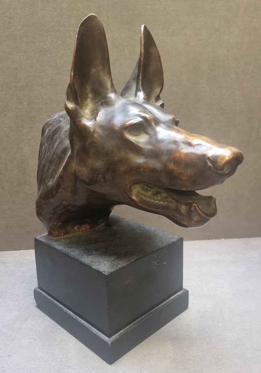 SCULTURA IN BRONZO SU BASE IN MARMO - TESTA DI LUPO  - Max LE VERRIER (1891-1973)-photo-3