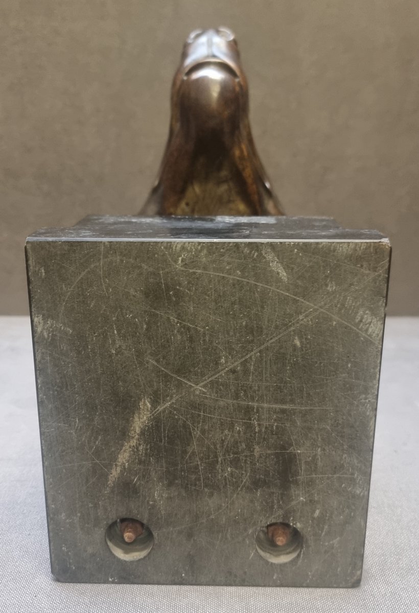 SCULTURA IN BRONZO SU BASE IN MARMO - TESTA DI LUPO  - Max LE VERRIER (1891-1973)-photo-5
