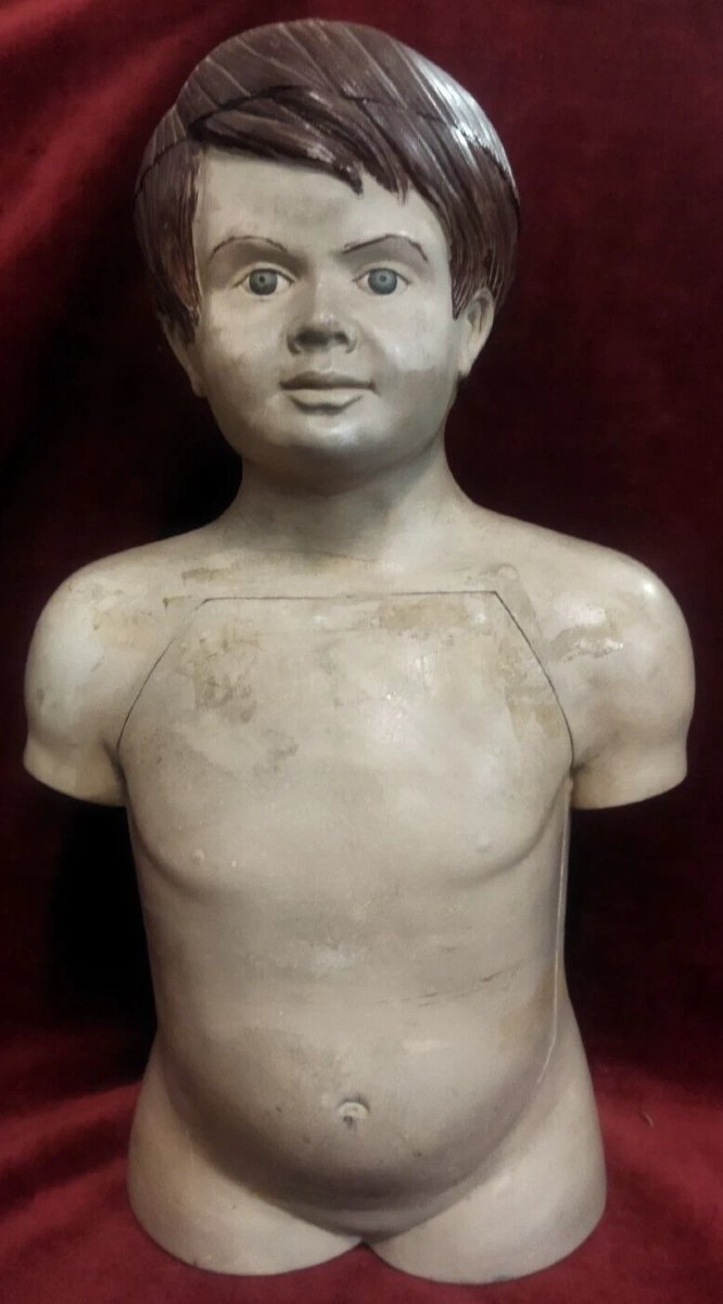 MODELLO ANATOMICO DIDATTICO  IN PAPIER MACHE' - Primi '900-photo-2