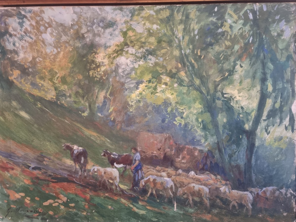 OLIO SU TELA - PAESAGGIO CON ARMENTI - Giuseppe Pennasilico (Napoli 1861 - Genova 1940)-photo-2