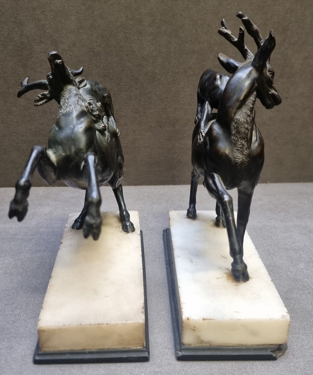 COPPIA SCULTURE IN BRONZO CON BASI IN MARMO - CANI CHE LOTTANO CON CERVI-photo-3