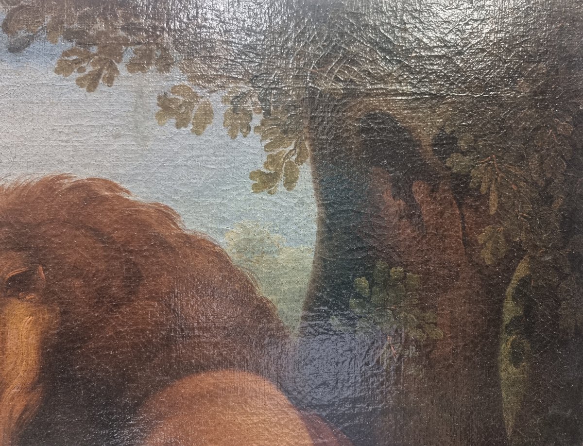 OLIO SU TELA - ANIMALI - FRANCIA, seconda metà dell'800-photo-4