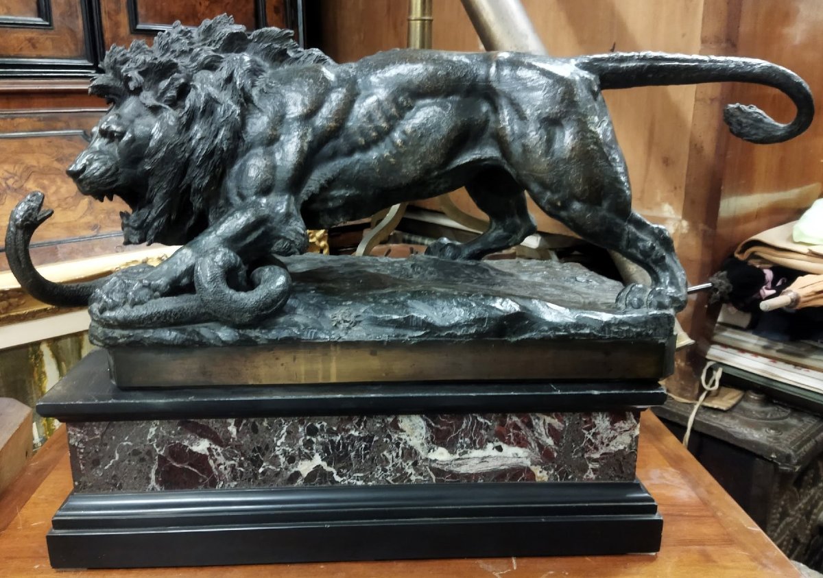 SCULTURA IN BRONZO SU BASE IN MARMO - LEONE CHE COMBATTE CON SERPENTE - seconda metà dell'800-photo-2