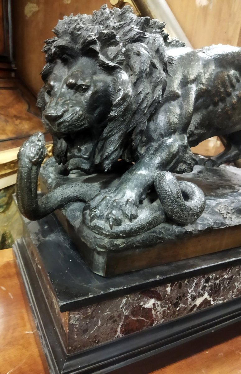 SCULTURA IN BRONZO SU BASE IN MARMO - LEONE CHE COMBATTE CON SERPENTE - seconda metà dell'800-photo-3