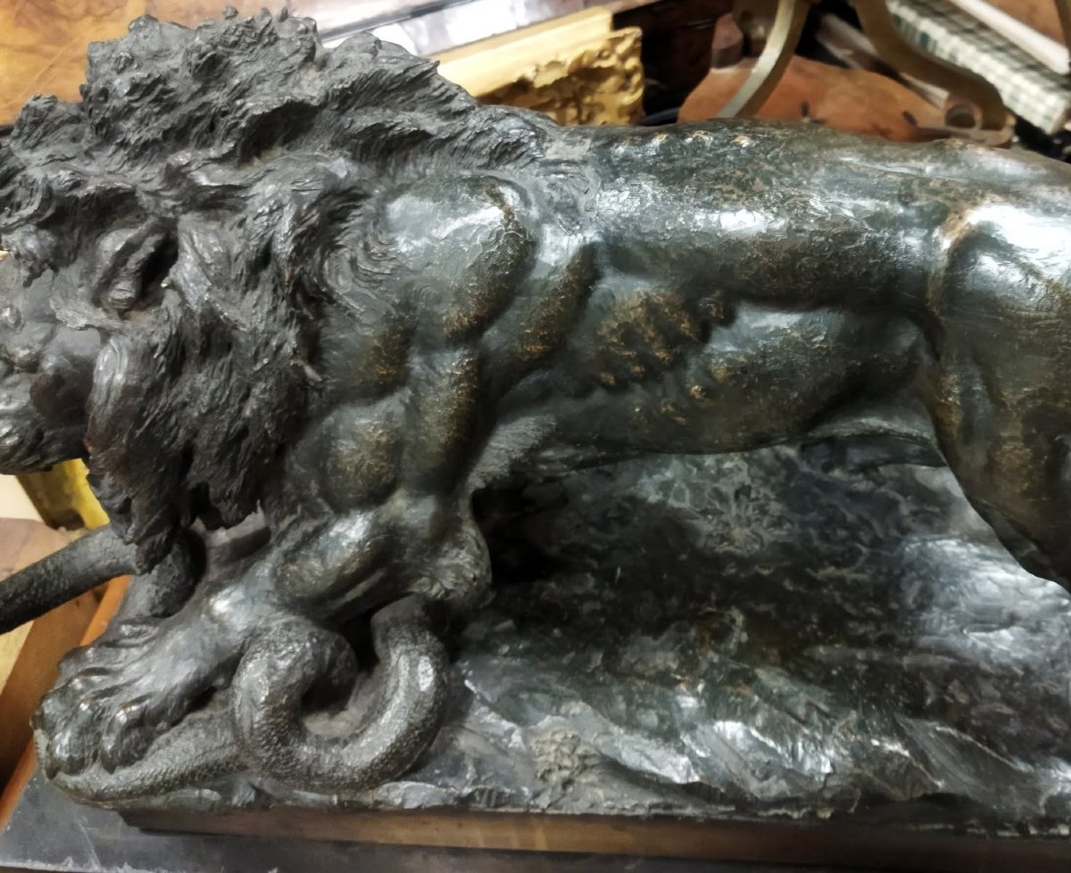 SCULTURA IN BRONZO SU BASE IN MARMO - LEONE CHE COMBATTE CON SERPENTE - seconda metà dell'800-photo-4
