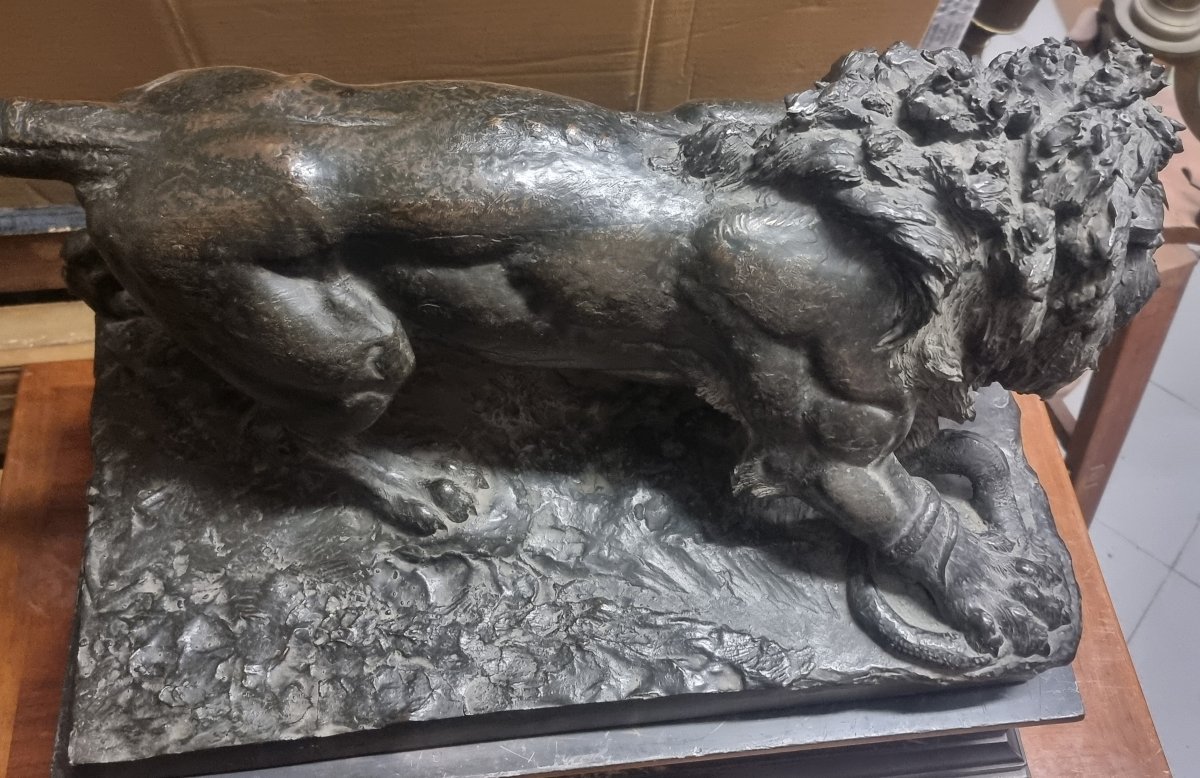 SCULTURA IN BRONZO SU BASE IN MARMO - LEONE CHE COMBATTE CON SERPENTE - seconda metà dell'800-photo-6