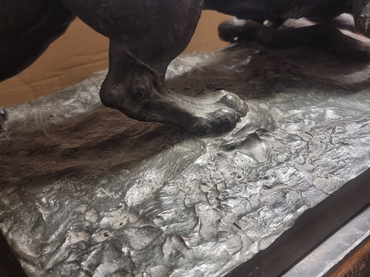 SCULTURA IN BRONZO SU BASE IN MARMO - LEONE CHE COMBATTE CON SERPENTE - seconda metà dell'800-photo-8