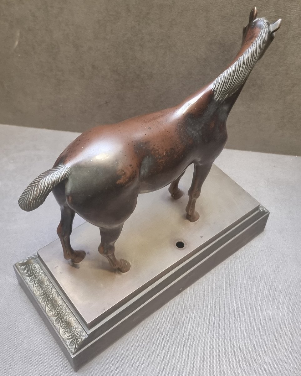 MODELLO DI CAVALLO DI CORSA IN BRONZO - Prima metà dell'800 (CARLO X)-photo-2