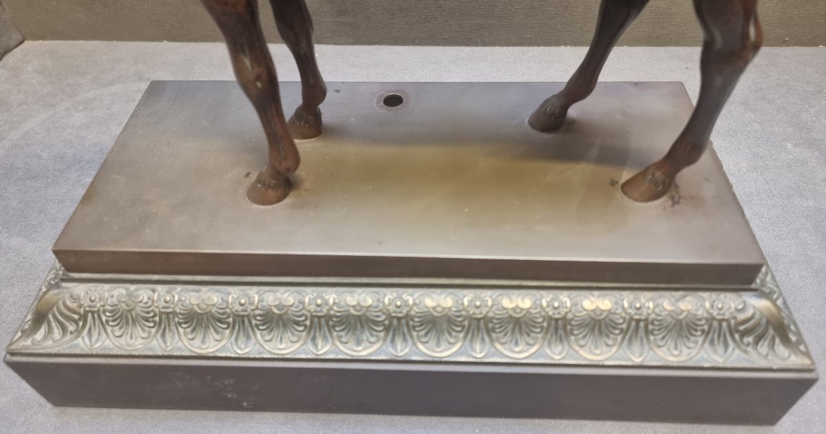 MODELLO DI CAVALLO DI CORSA IN BRONZO - Prima metà dell'800 (CARLO X)-photo-4