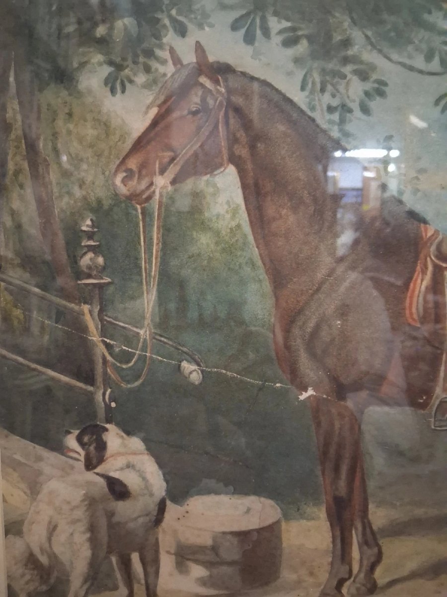 ACQUARELLO SU CARTA CAVALLO CON CANE - ADELE FERRETTI 1894-photo-3