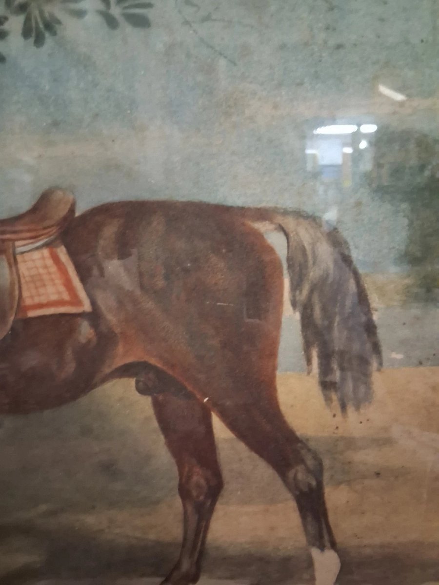 ACQUARELLO SU CARTA CAVALLO CON CANE - ADELE FERRETTI 1894-photo-1