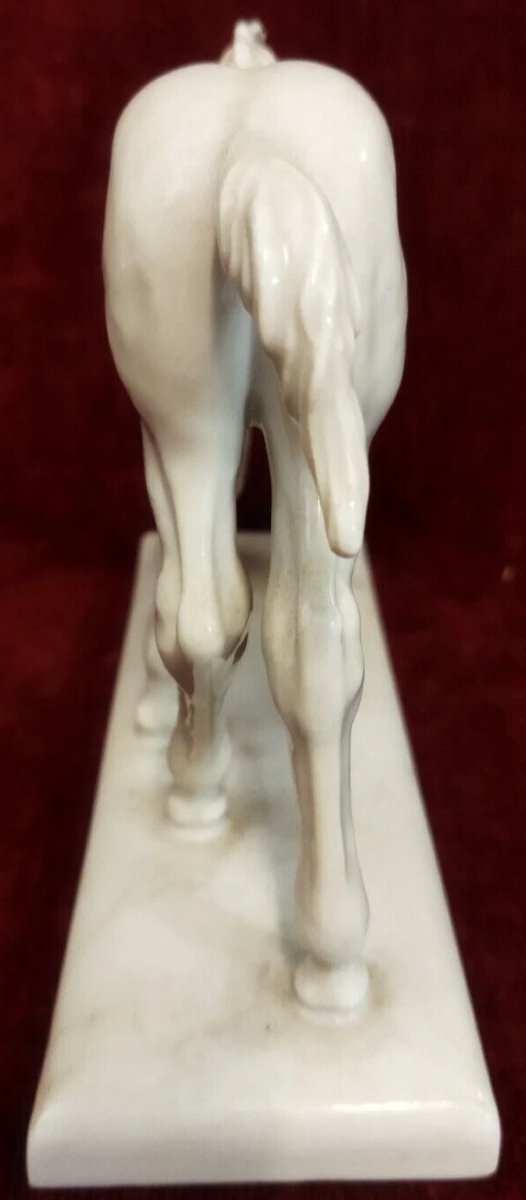 CAVALLO IN PORCELLANA BIANCA MEISSEN - primi '900-photo-4