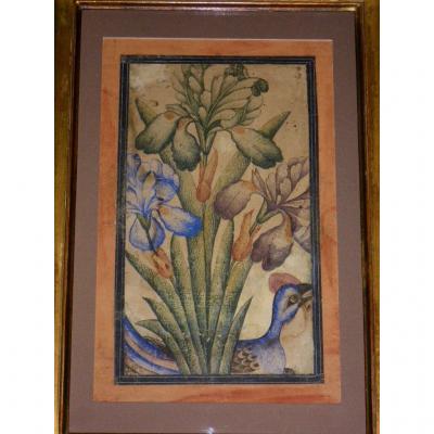 Framed Gouache Indo-persian 18th-19th