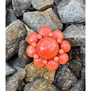 Coral Brooch 