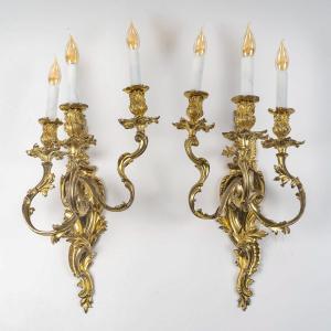 A Large Pair Of Louis XV Rocaille Style Three-light Wall Sconces In Gilt Bronze, C. 1850