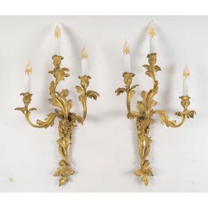 After Juste-aurele Meissonnier A Fine And Large Pair Of Gilt-bronze Wall Sconces, C. 1850