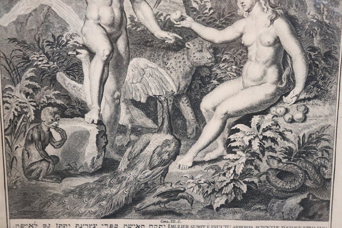 Gerard Hoet, Adamo ed Eva, incisione antica, XVII secolo-photo-4
