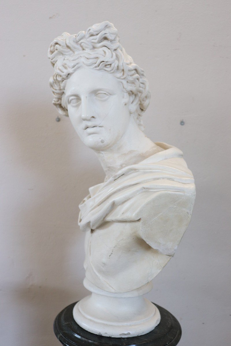 Busto neoclassico di Apollo, anni '30-photo-4