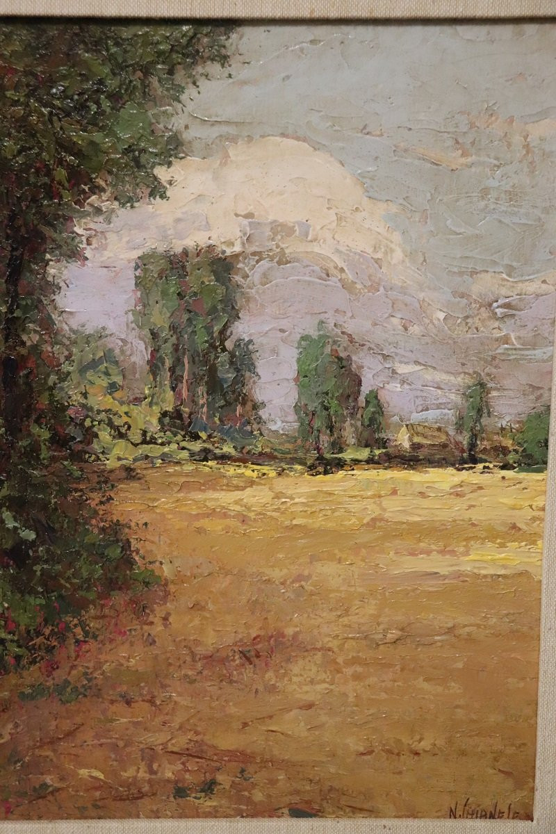 Campagna italiana, dipinto ad olio del XX secolo, firmato-photo-2