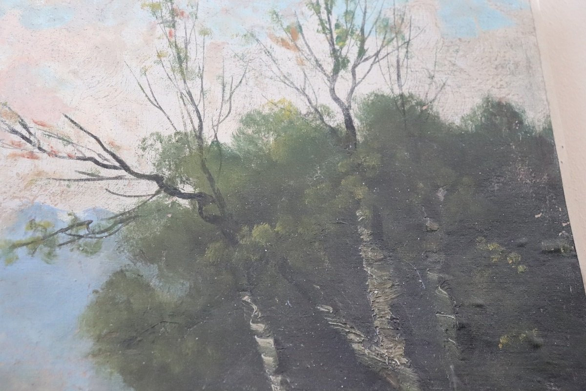 Antico dipinto olio su tela secolo XIX-photo-2