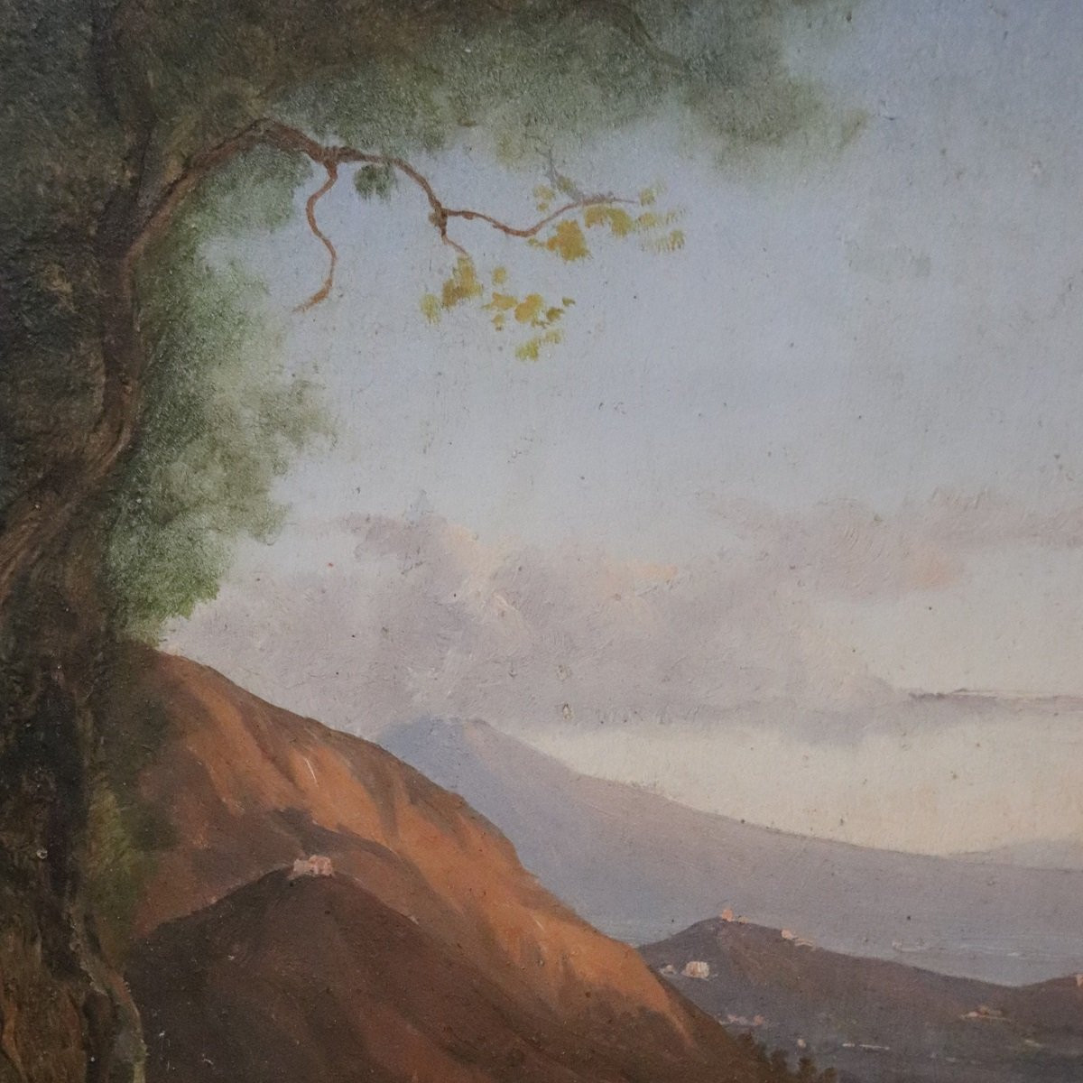 Veduta panoramica di Napoli, dipinto olio su tela, Italia, XIX secolo-photo-1